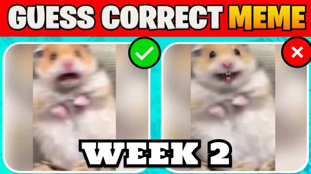 Capture 1 – Guess Correct Meme 🔍