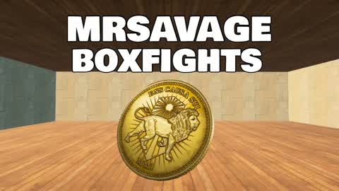 MRSAVAGE BOXFIGHTS