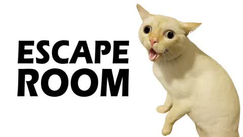 ๐ BeBe ๐บ Escape Room ๐ง