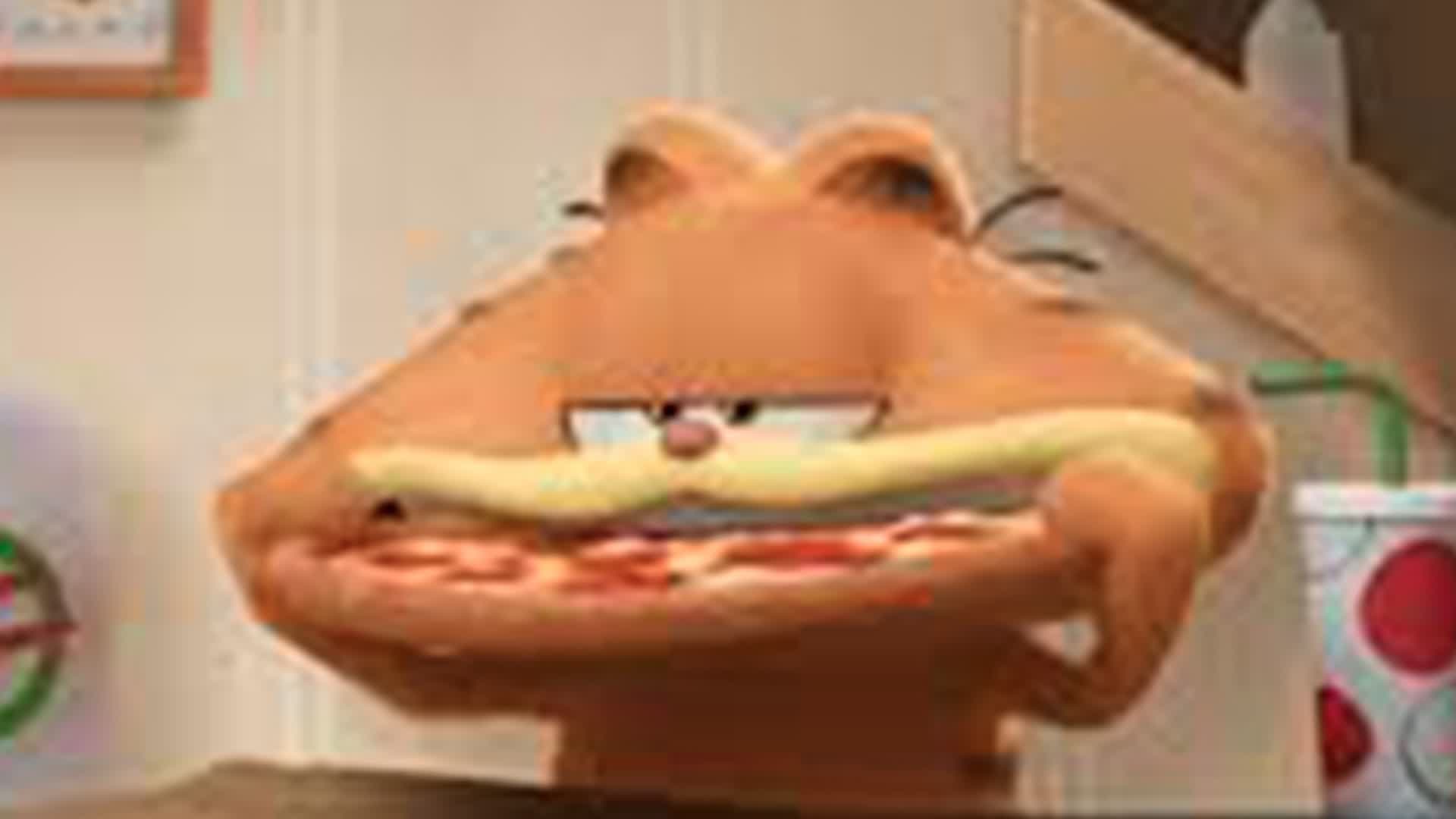 😼GARFIELD MEGARAMP🐈
