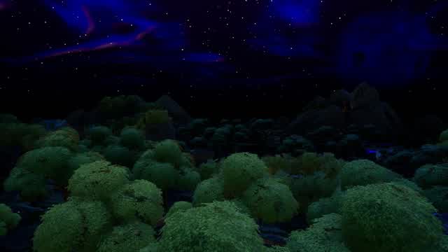 Battle Royale Space