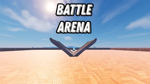 1v1/Battle Arena