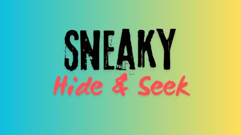 Sneaky Hide and Seek