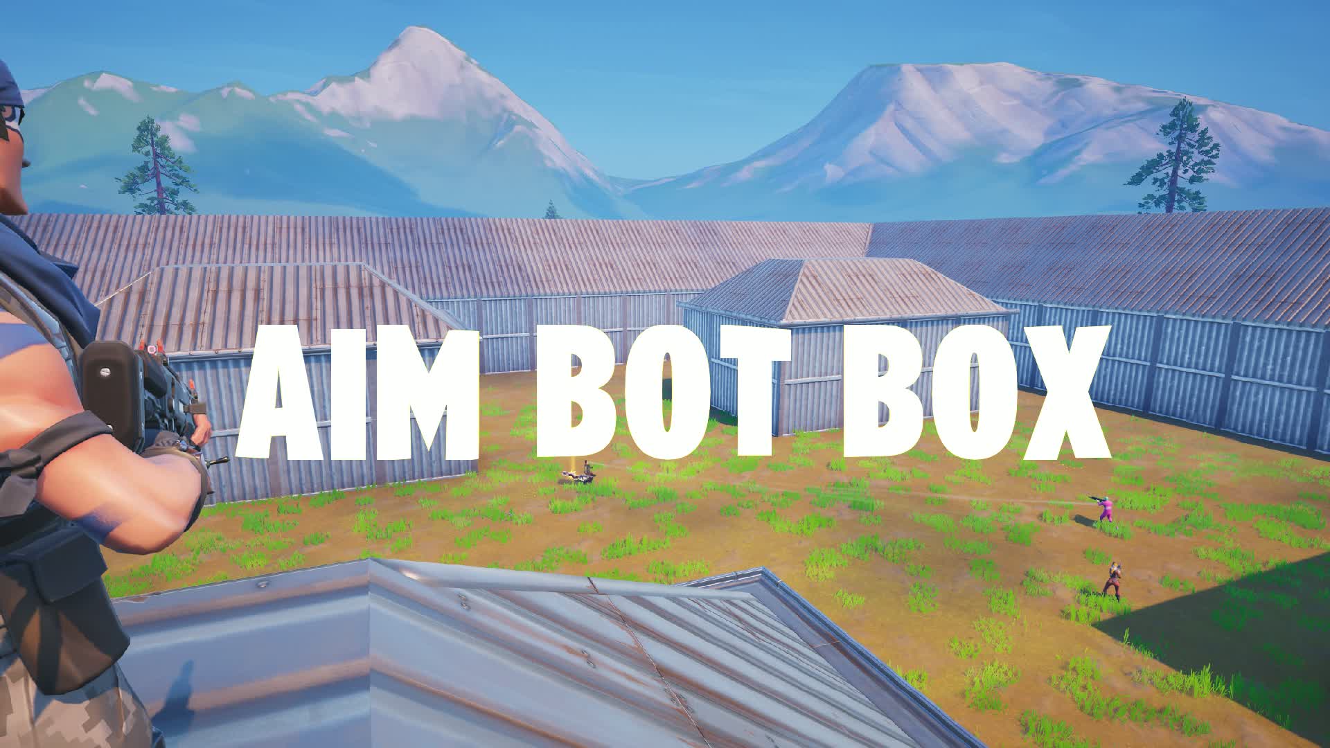 AIM BOT BOX