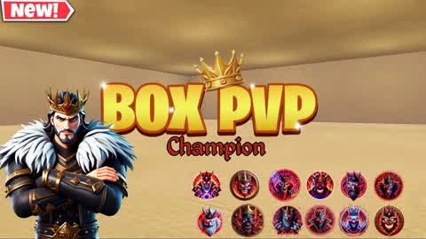 Box Fights Champion