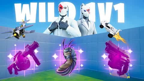 WILD 1V1 FFA - ALL GUNS & CARS