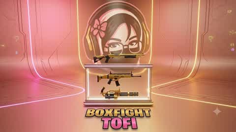 boxfight tofi