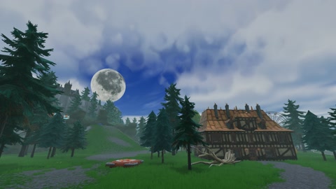 Island image