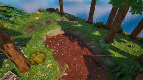 Island image