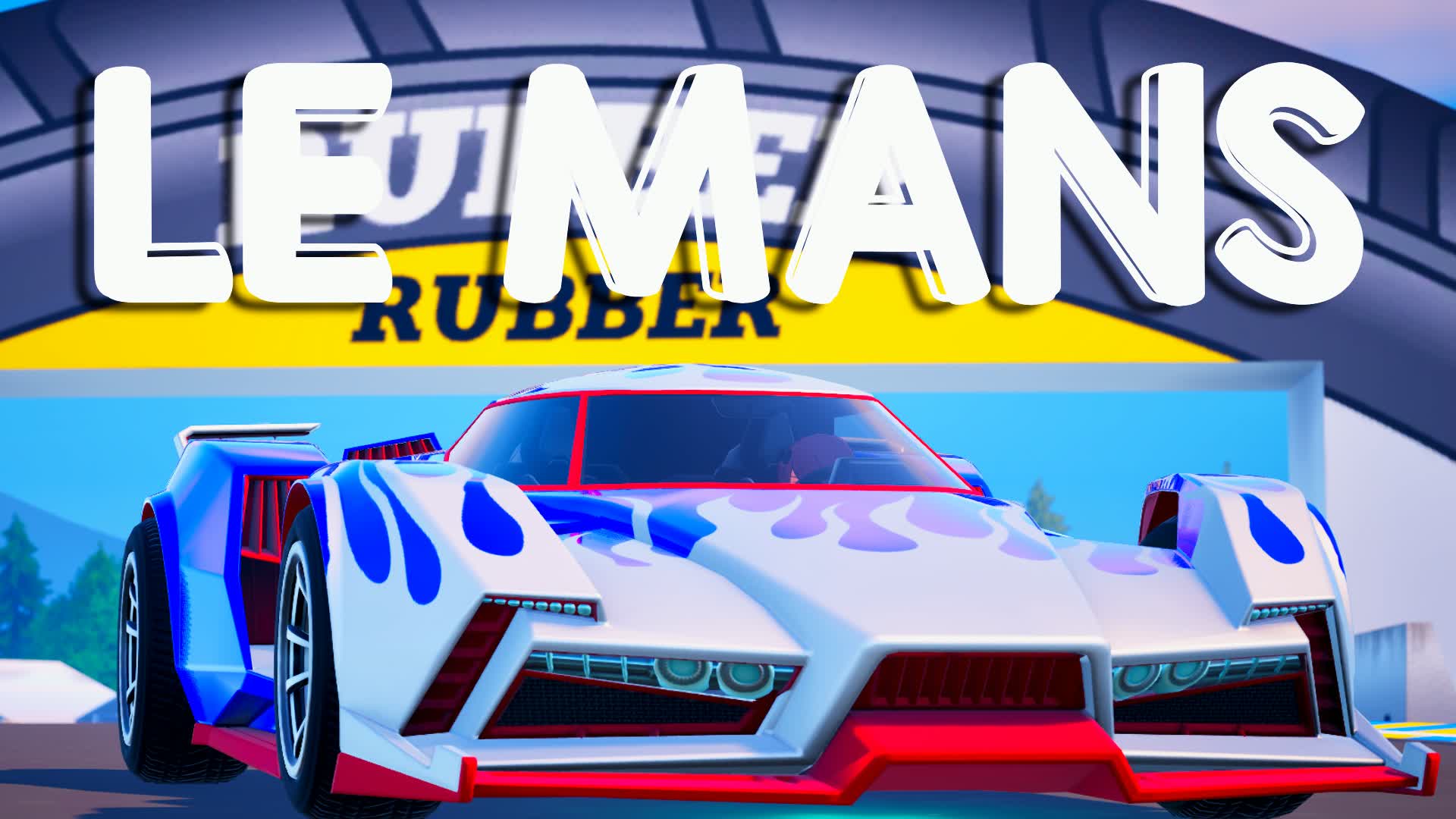Le Mans - Endurance Racing π«π·
