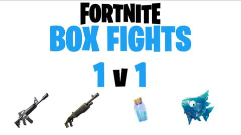 BOX FIGHTS 1v1