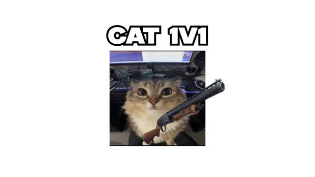 CAT 1V1🐈