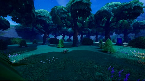 Island image
