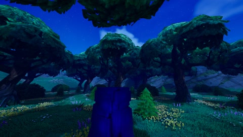 Island image