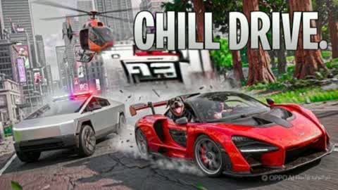 THE CHILL DRIVING CARS 🌴
