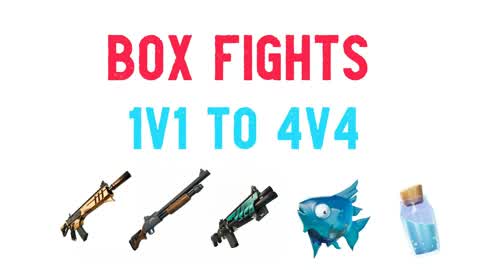 4v4 box fight