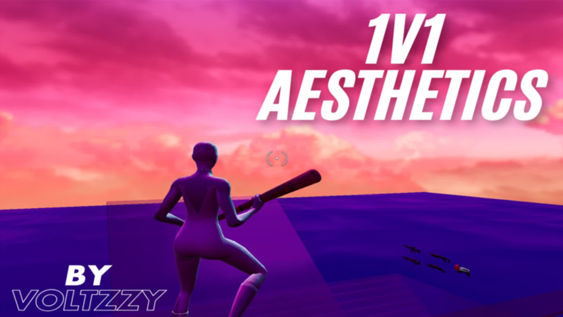 1v1 AESTHETICS