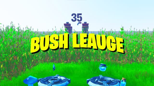 Capture 1 – BUSH LEAUGE V4.7