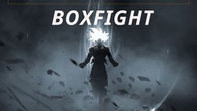 BOXFIGHT 1vs1  x8 FFA