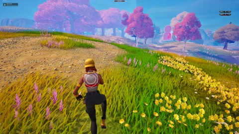 Island image