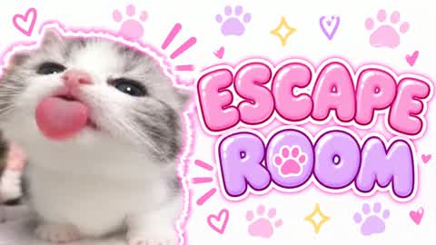 🚪MEME ESCAPE ROOM CAT🧠