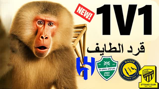 1v1 عاركني 🙉Taif Monkey | قرد الطايف