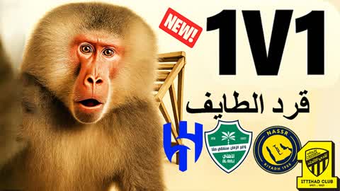1v1 عاركني 🙉Taif Monkey | قرد الطايف