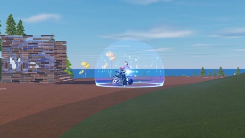 Island image