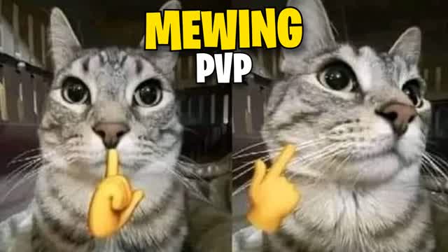 đ€«MEWING PVPđ€«