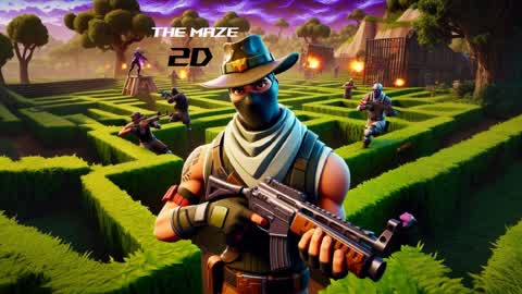 The maze  in 2D