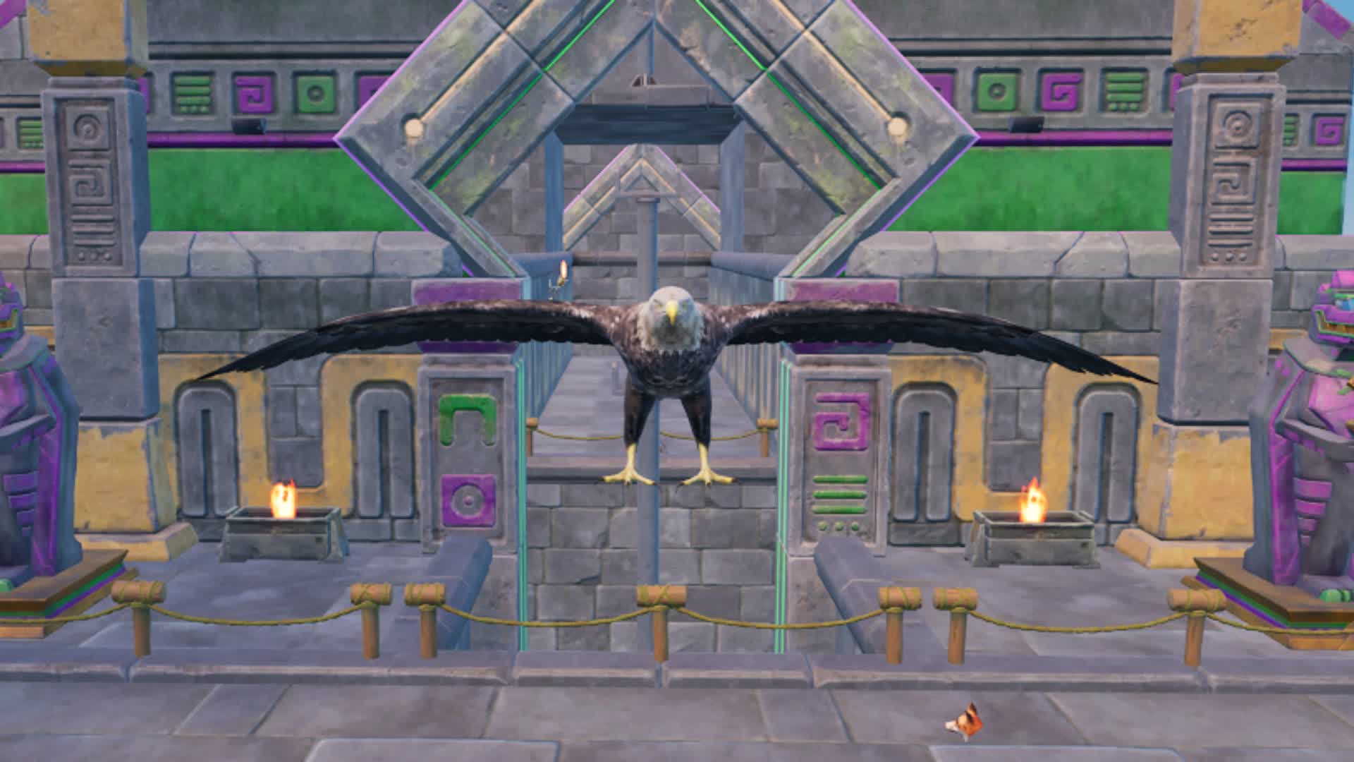 MEET NICE EAGLE