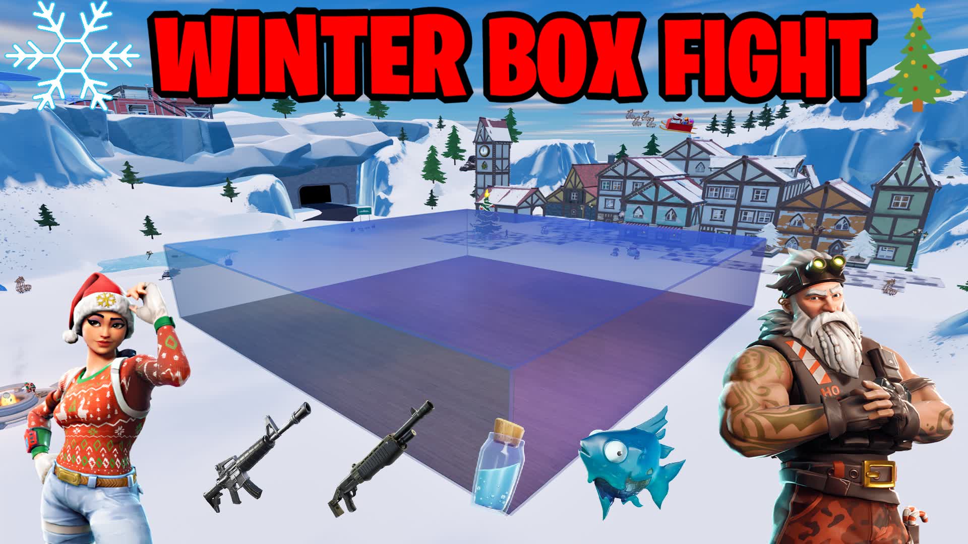 Winter Box Fight