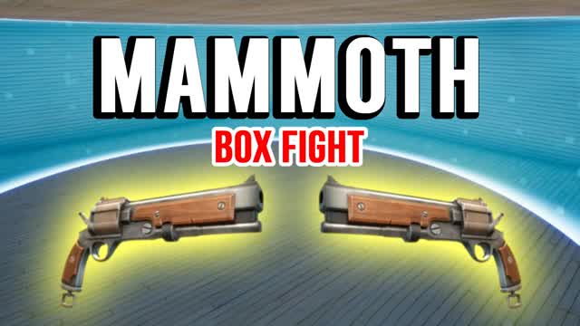 Mammoth Pistol Box Fight🔫📦📦