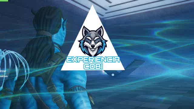 Experiencia cobi