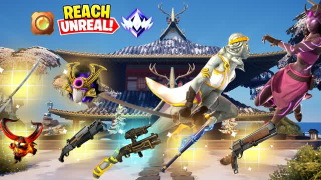 Ranked Turtle Fights FFA Ninja Box PVP 2