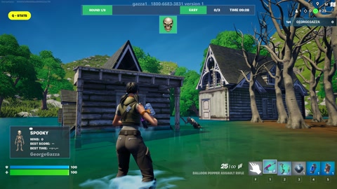 Island image
