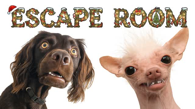 🧠 ESCAPE ROOM 🚪 BRAINROT MEMES