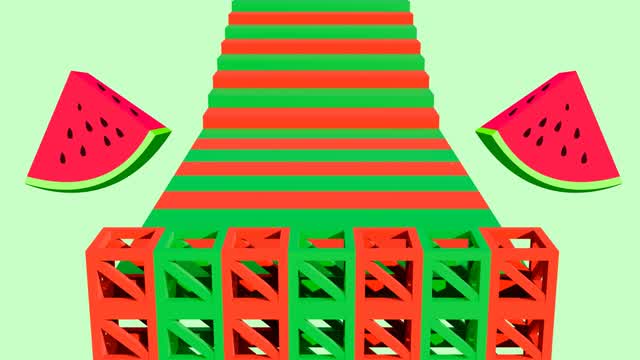 WATERMELON OBBY🍉