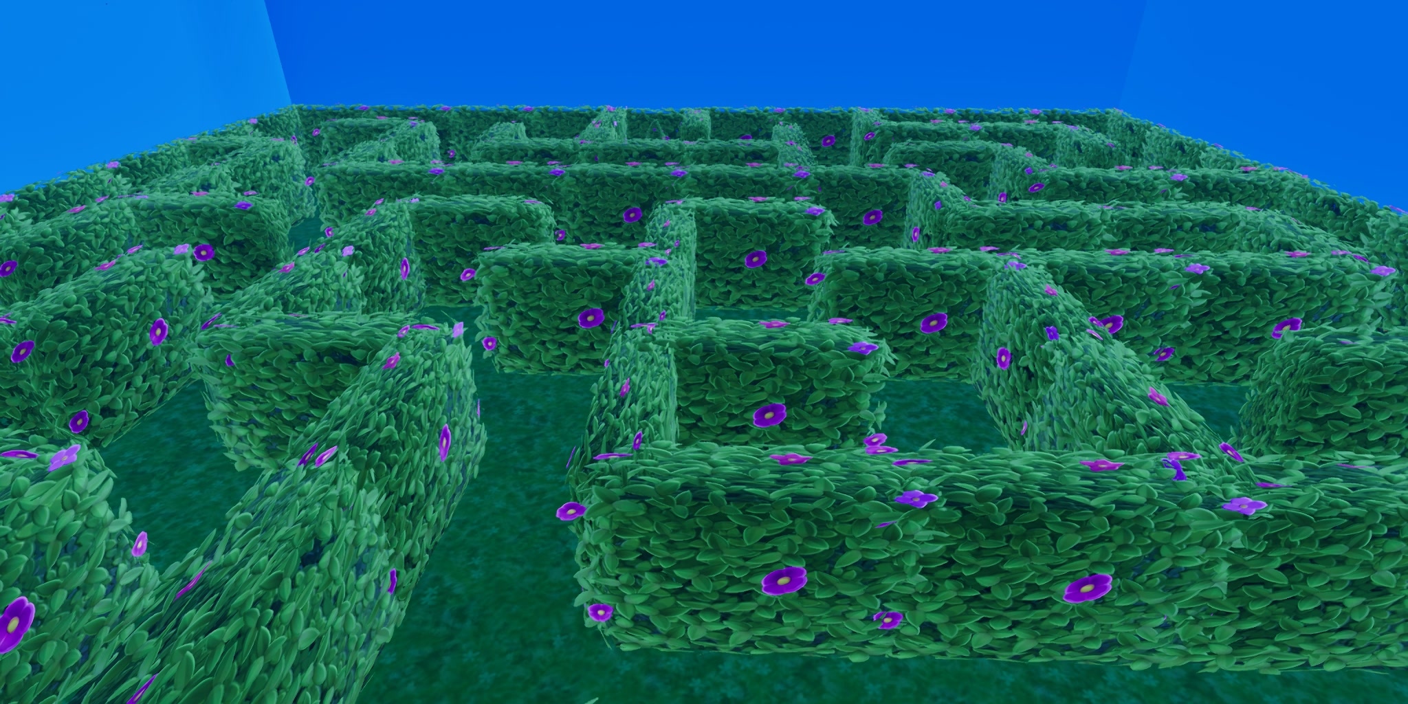 Map Image 2