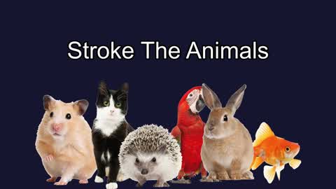 Stroke The Animals