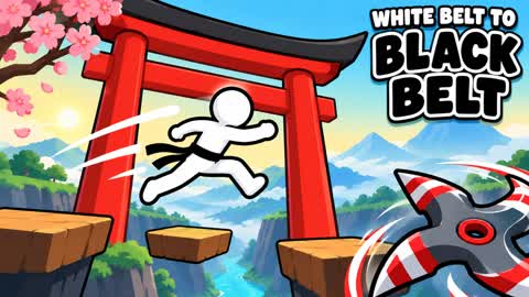 WHITE BELT TO BLACK BELT DEATHRUN 🥋
