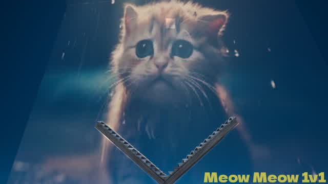 Capture 1 – Meow Meow 1v1