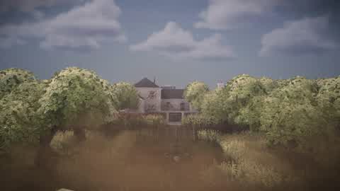 PROJECT MURKY WATER