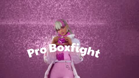 Pro Boxfights