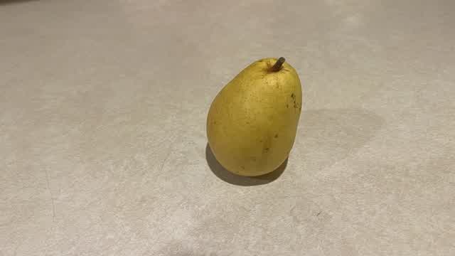 Greasy Grove mamoth pistol only