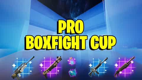 PRO BOXFIGHT CUP