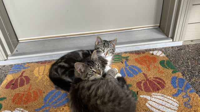 1v1 build fights (made by JJDEL14)