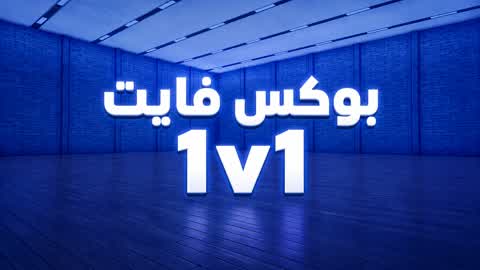 Box Fight 1v1