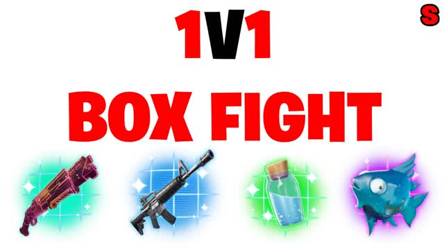 1V1 BOX FIGHT