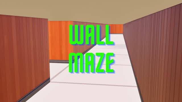 Capture 1 – Wall Maze